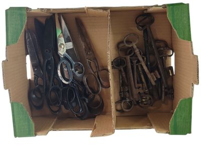 many pairs of scissors in a box on a white background