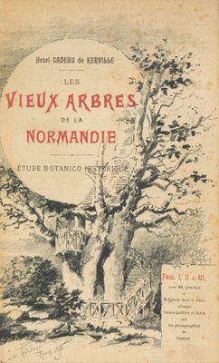 un vieux livre avec le dessin d'un arbre en arrière-plan