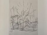 dessin au crayon représentant un arbre dans un champ, avec une maison en arrière-plan