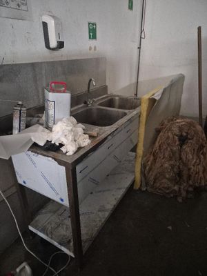 un chien qui se tient debout dans une cuisine sale