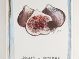 a painting of a fig and a piece of fruit on a white surface