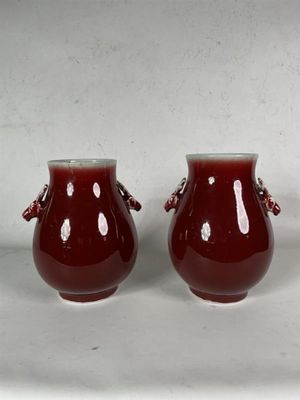 deux vases posés sur une surface blanche
