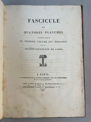 un livre ouvert sur lequel figure l'image d'un palmier
