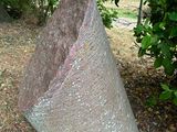 a large rock sitting in the middle of a field