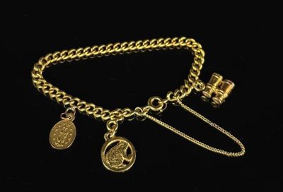 a close up of a gold chain bracelet with charms on it