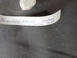 a piece of paper that has been placed on top of a piece of cloth