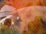 a close up of a glass vase with a picture on it