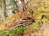 une aquarelle représentant un arbre sur le flanc d'une colline
