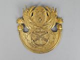 une image représentant une assiette en or ornée d'un blason