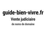 Photo 1/1 du lot