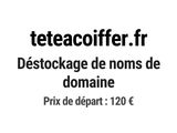 Photo 1/1 du lot