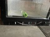 a green cup that is sitting in a glass case