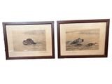 two framed pictures of a bear and a duck in the water