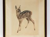 an old picture of a fawn standing in front of a white wall