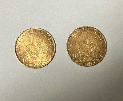 two gold sovereigns, one of which is a sovereign and the other of which is a sovereign