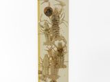 an image of a skeleton with a skeleton in it ' s arms