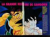 Photo 7/47 du lot