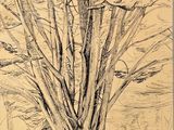 dessin au crayon représentant un homme et une femme debout sous un arbre