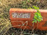 a small plant growing out of a rusted piece of luggage