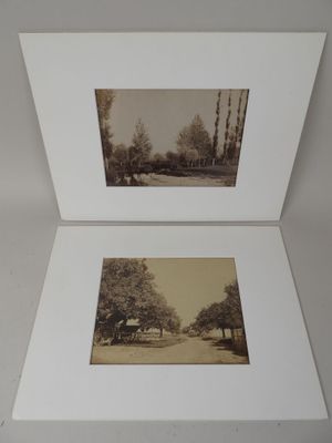 deux vieilles photos en noir et blanc représentant des arbres dans un parc