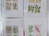 four stamps of different plants and flowers are on a sheet of paper