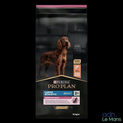 a dog standing in front of a bag of prop plan adult large breed dry dog food