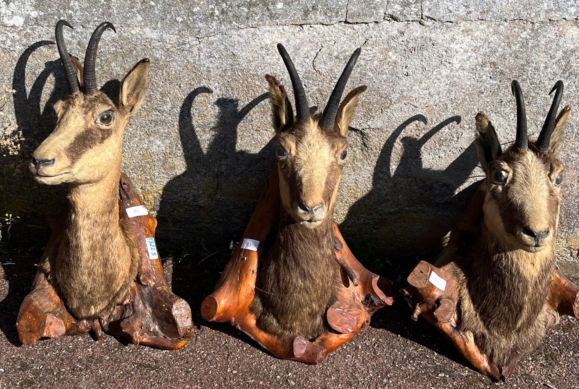 Un lot de trois trophées (PS)