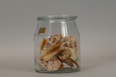 a glass jar filled with shells on a white surface