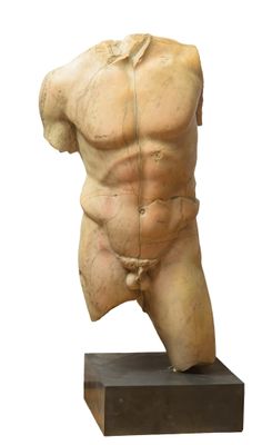 statue en marbre représentant un torse masculin, posée sur un socle en bois