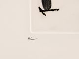 drawing of an owl sitting on a branch in a square frame