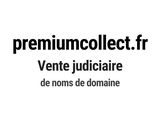 Photo 1/1 du lot