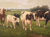 painting of a herd of cows grazing in a field with a fence in the background
