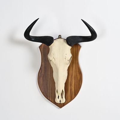 une tête d'animal fixée sur une plaque en bois et dotée de cornes