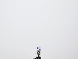 ceramic figurine of a zebra with a blue and white design