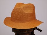 un chapeau marron posé sur un porte-chapeaux