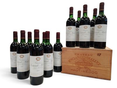 six bouteilles de vin rouge dans une caisse en bois sur fond blanc