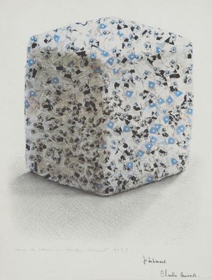 une image représentant un dessin d'un rocher orné de fleurs bleues