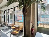 a palm tree in the corner of a restaurant