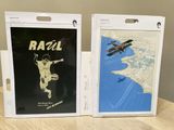 two framed pictures of a man on a plane