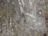 many different types of tools on the ground