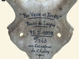 Photo 2/2 du lot