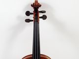 a close up of a violin with a bow on a white background