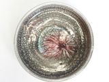 a glass bowl with a flower in it on a table