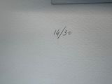 Photo 39/39 du lot