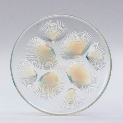 an image of a glass plate with shells in it