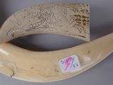 an elephant horn with a sticker on it ' s side