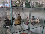 a glass case with a lot of different items in it