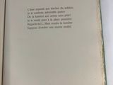 a open book with a picture of a cat on it