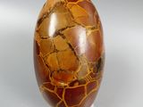 a picture of a large brown stone egg on a clear stand