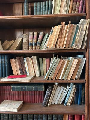 de nombreux livres sur la bibliothèque de la pièce